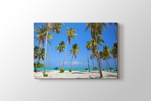 Tropical Palm and Sand Beach görseli.