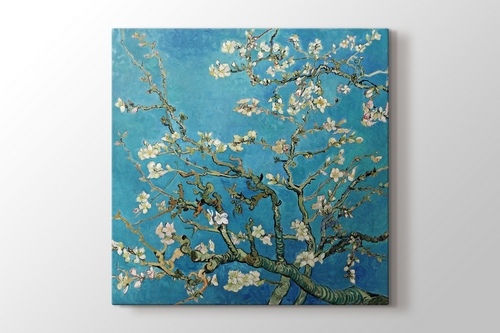 Çiçek Açan Badem Ağacı - Almond Blossom görseli.