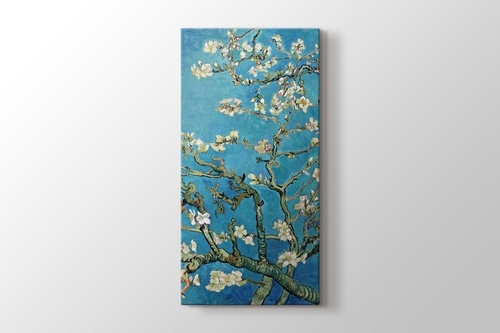Çiçek Açan Badem Ağacı - Almond Blossom görseli.