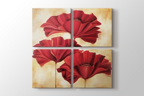 Papaver Rhoeas - I görseli.