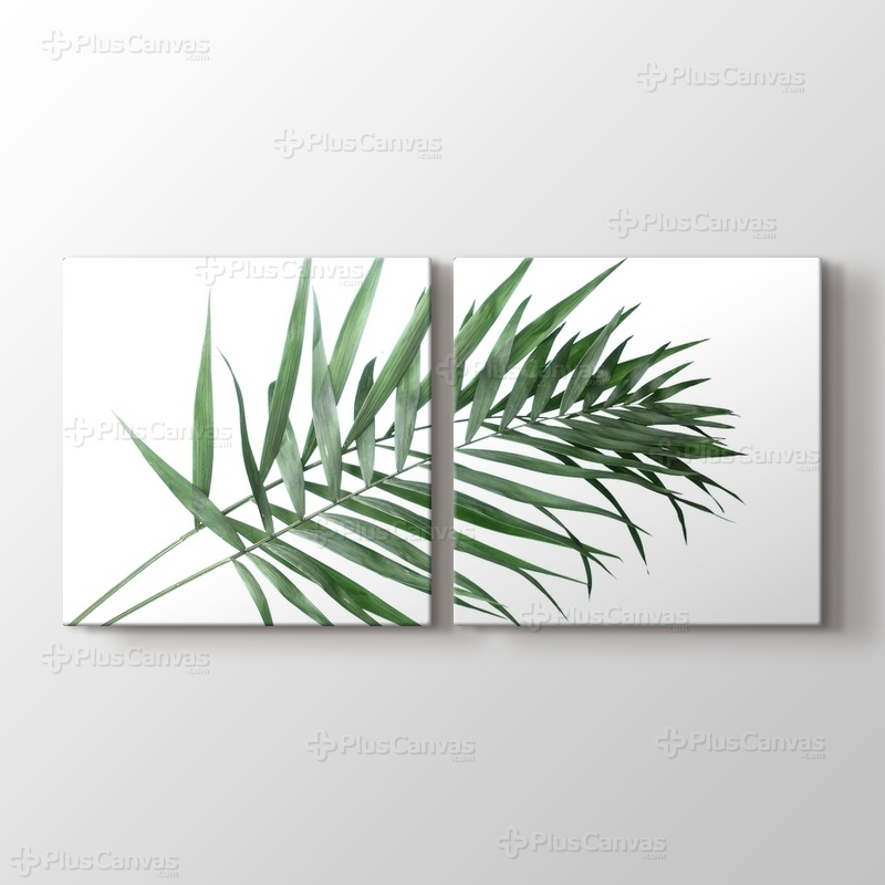 Beautiful Palm Leaves görseli.