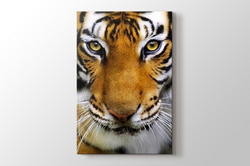 Tiger Face görseli.