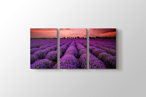 Stunning Landscape With Lavender Field At Sunset görseli.