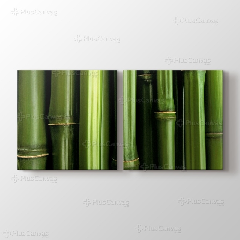 Bamboo görseli.