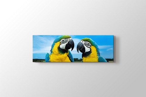 Parrots Chat görseli.