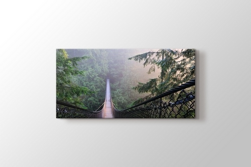 Kanada Lynn Canyon Park görseli.