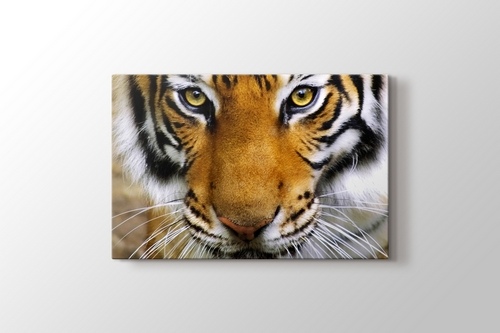 Tiger Face görseli.