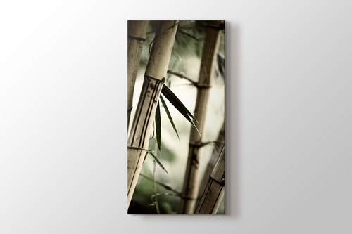 Bamboo görseli.