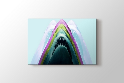 Shark görseli.