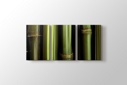Bamboo görseli.