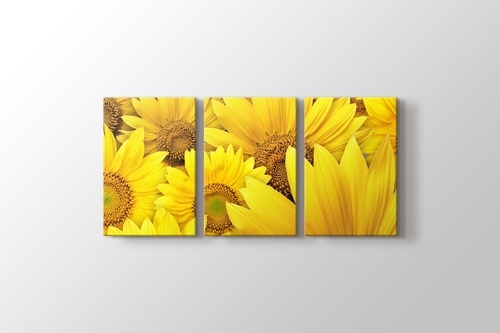 Sunflowers görseli.