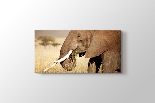 Elephant Eating görseli.