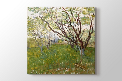 The Flowering Orchard görseli.