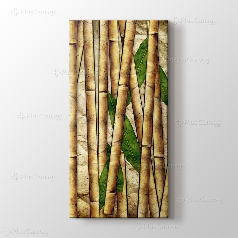 Bamboo görseli.