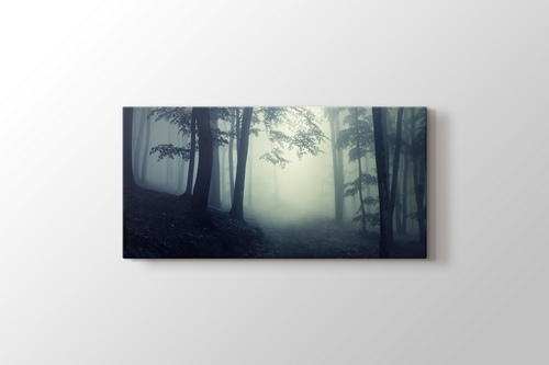 Forest görseli.