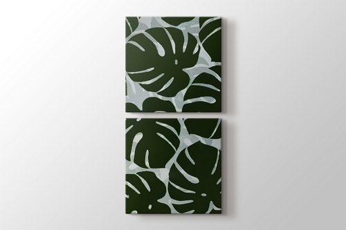 Monstera görseli.