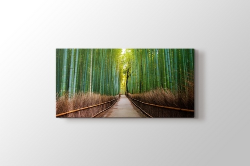 Bamboo Forest in Kyoto Japan görseli.
