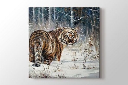 Bengal Tiger görseli.