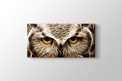 CloseUp Owl görseli.