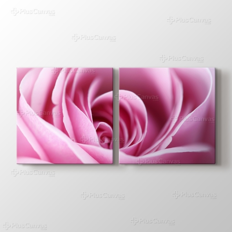 CloseUp Pink Rose görseli.