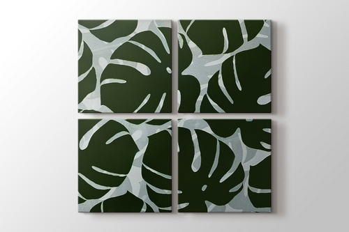 Monstera görseli.