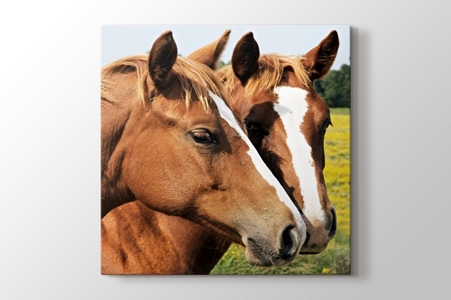 Horses görseli.