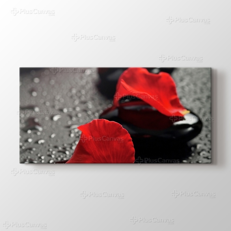 Black Pebbles and Red Rose görseli.