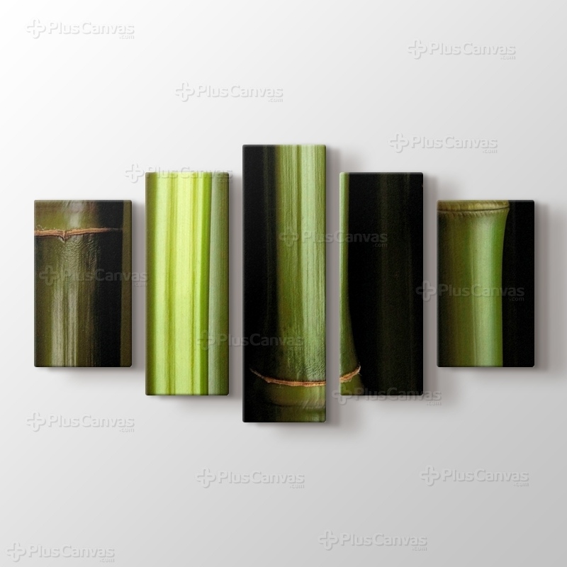 Bamboo görseli.