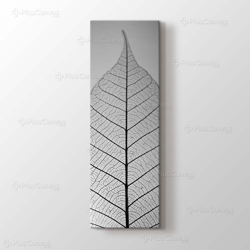 Skeleton Leaf görseli.