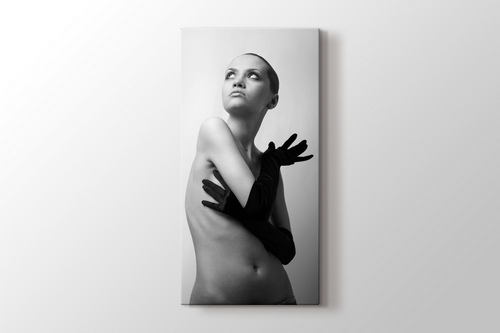 Nude Elegant Girl. görseli.