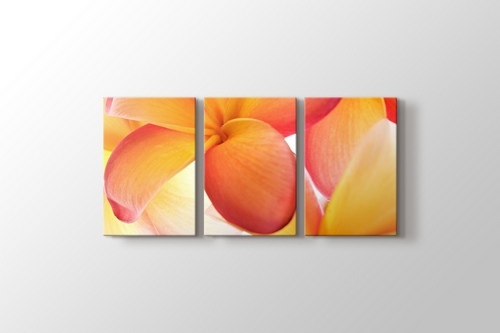 Peachy görseli.