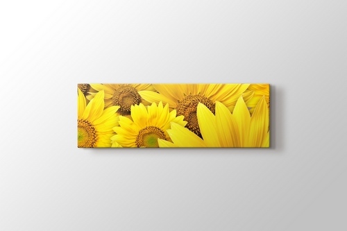 Sunflowers görseli.