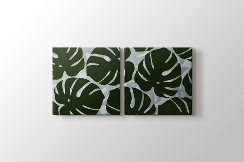 Monstera görseli.