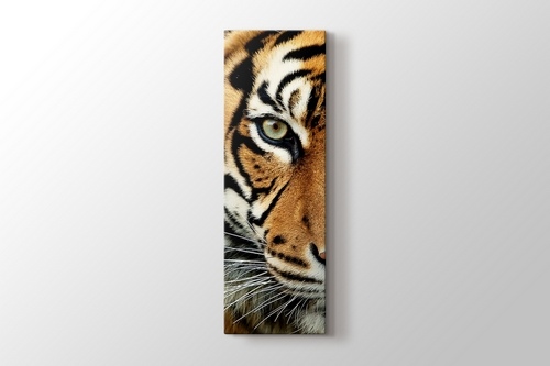 Bengal Tiger görseli.