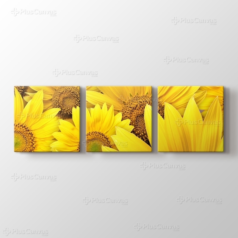 Sunflowers görseli.
