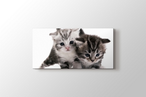 Pussy Cats görseli.