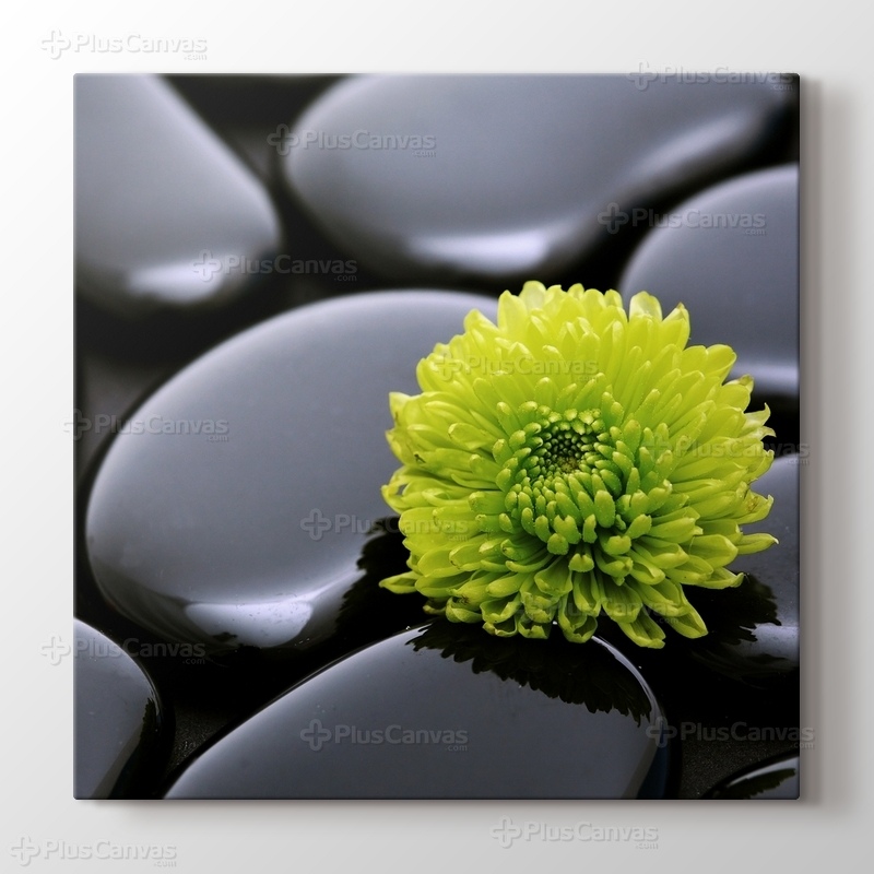Black Pebbles and Flower görseli.