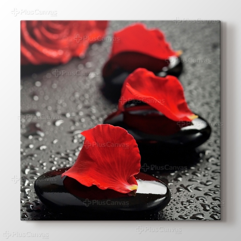 Black Pebbles and Red Rose görseli.