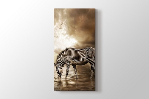 Zebra görseli.