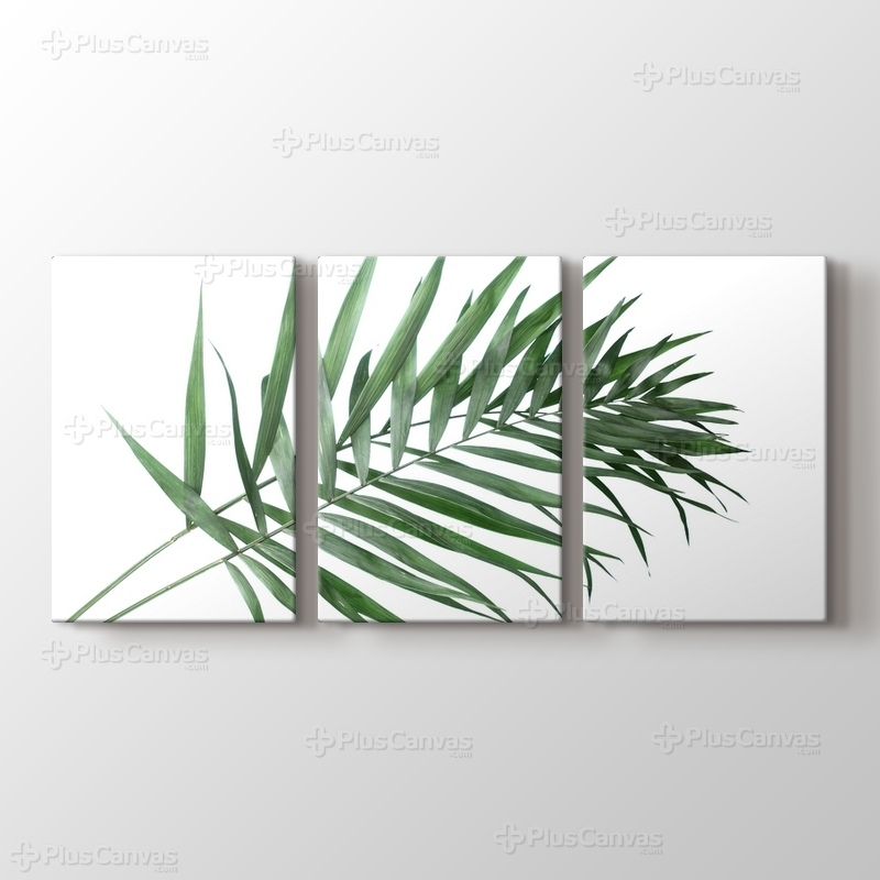 Beautiful Palm Leaves görseli.
