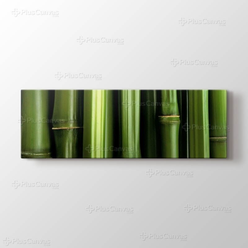 Bamboo görseli.