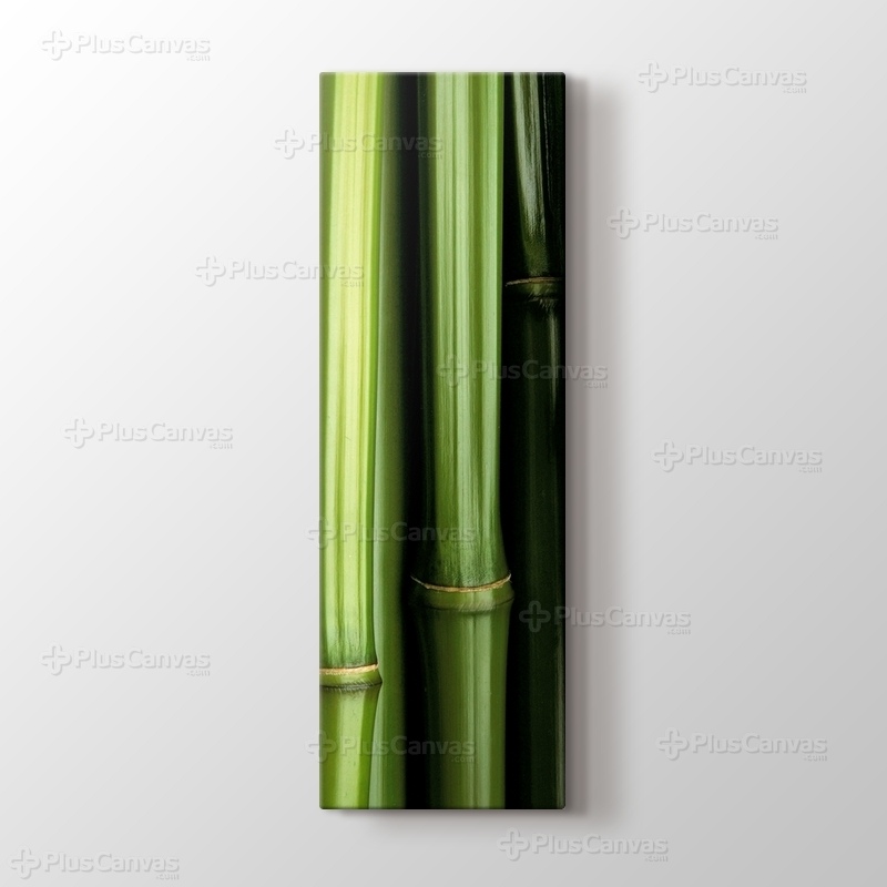 Bamboo görseli.