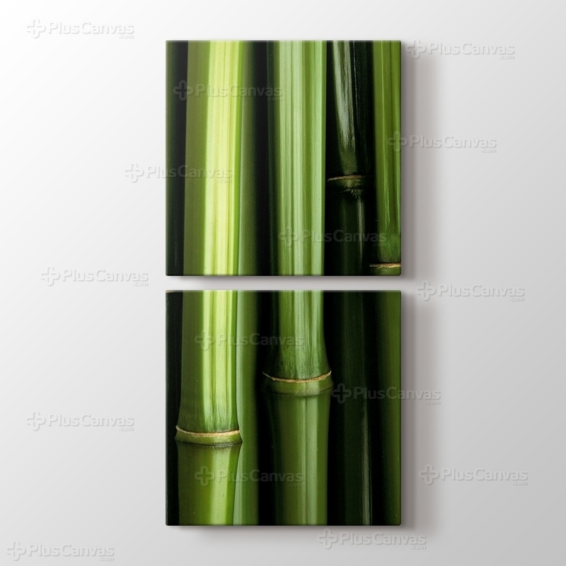 Bamboo görseli.