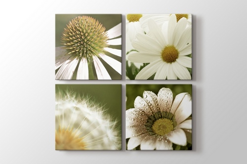 Quattro Flowers görseli.
