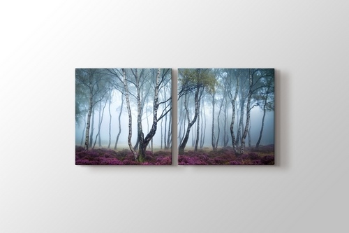 Forest görseli.