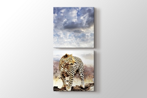 Leopard görseli.
