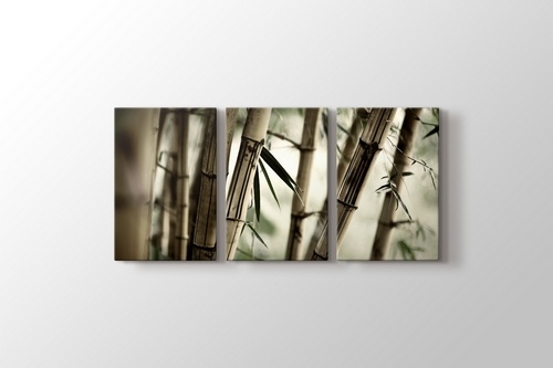 Bamboo görseli.