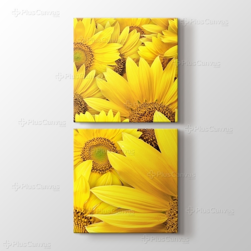 Sunflowers görseli.