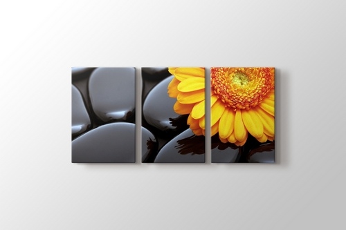 Black Pebbles and Flower görseli.