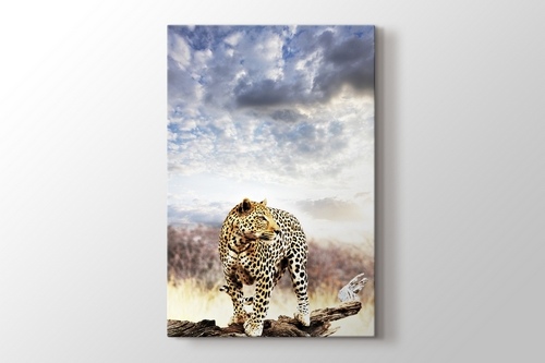Leopard görseli.